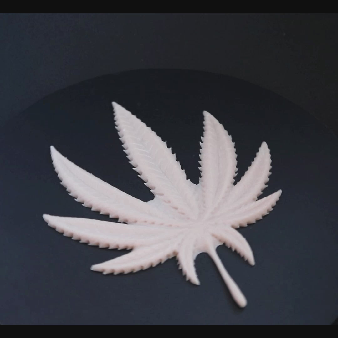 Cannabis Pastie in vanilla shade on a black turntable, slowly rotating.