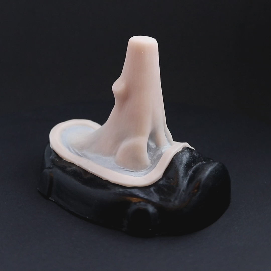 Wooden nose prosthetic in vanilla shade on a black turntable, slowly rotating.