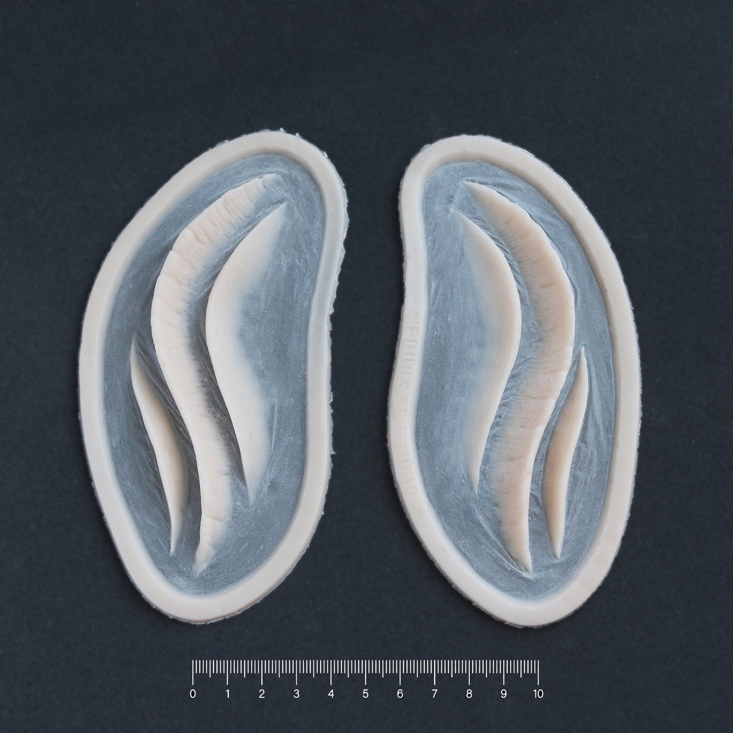Mermaid Gills (Pair) - Silicone makeup prosthetic in vanilla shade on a black surface with a ruler