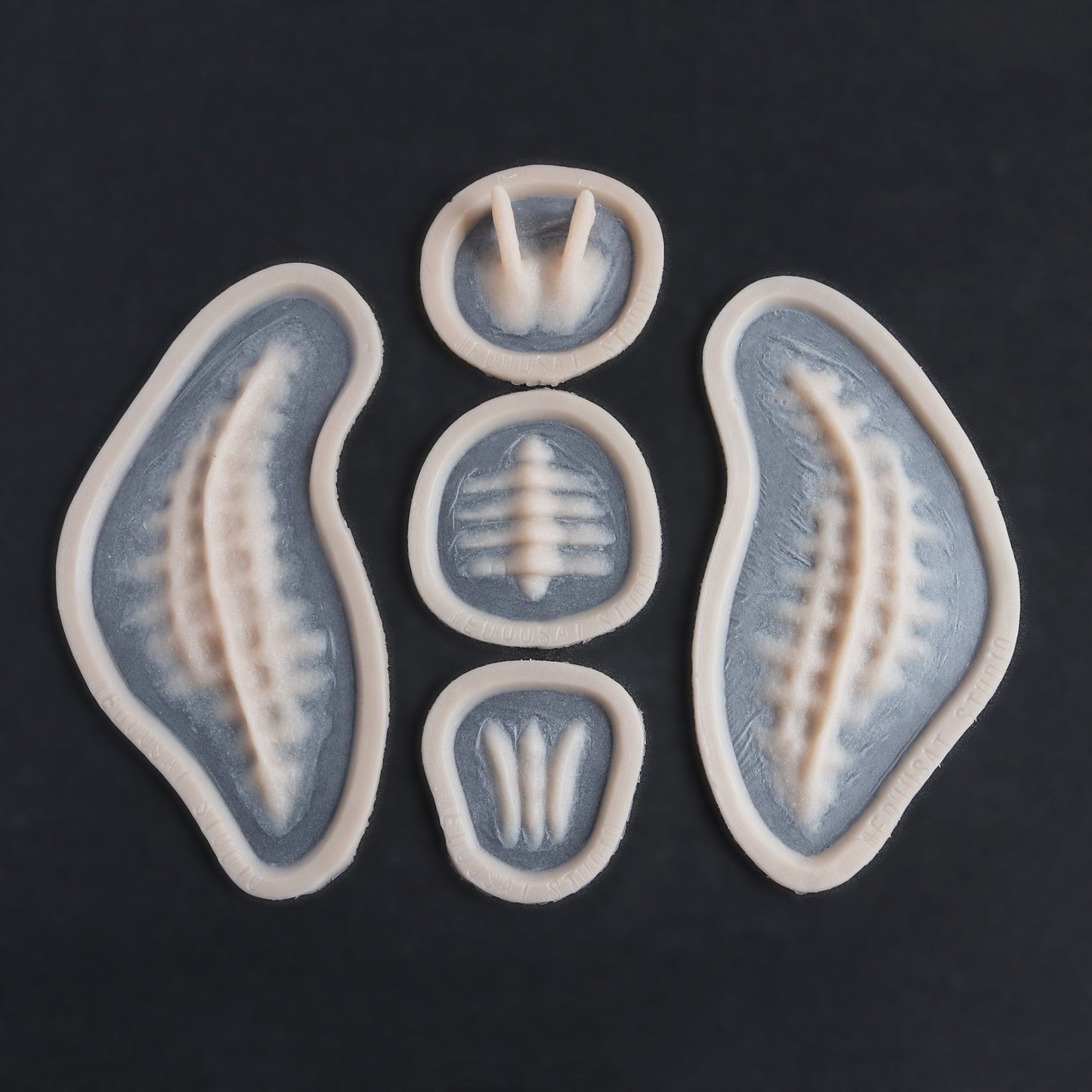 Seahorse Facial Scales - Silicone makeup prosthetic in vanilla shade on a black surface
