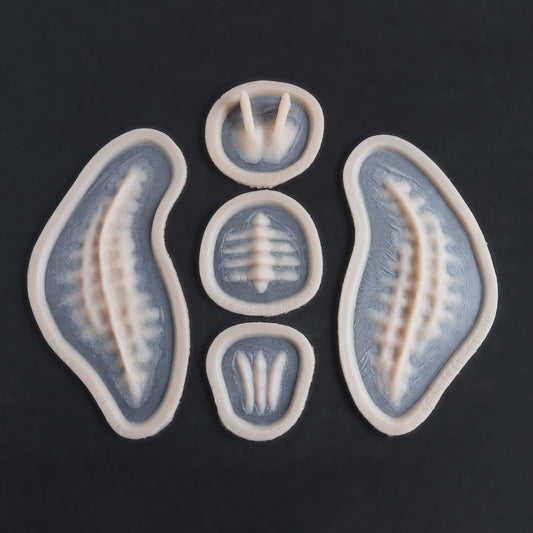 Seahorse Facial Scales - Silicone makeup prosthetic in vanilla shade on a black surface