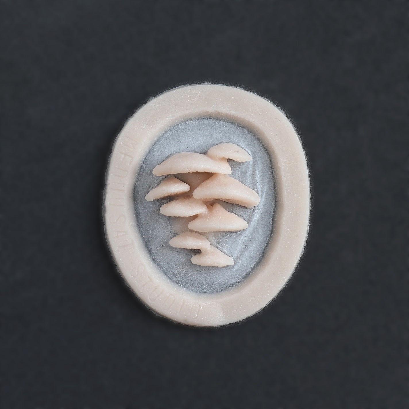 Vertical Bracket Fungi - Silicone makeup prosthetic in vanilla shade on a black surface