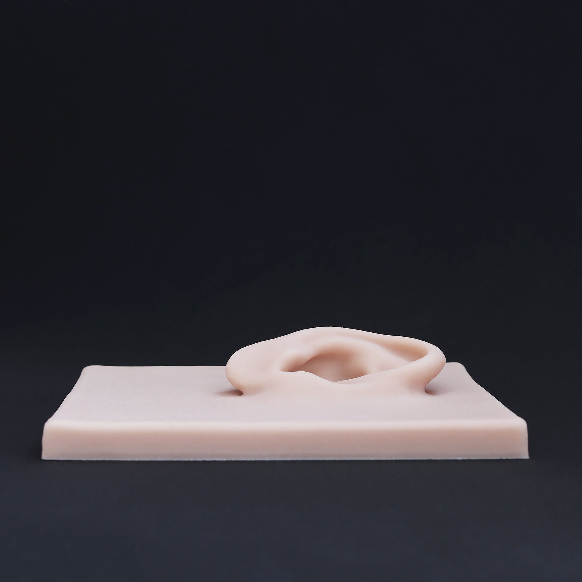 Human Ear Jewellery Display - Large Base