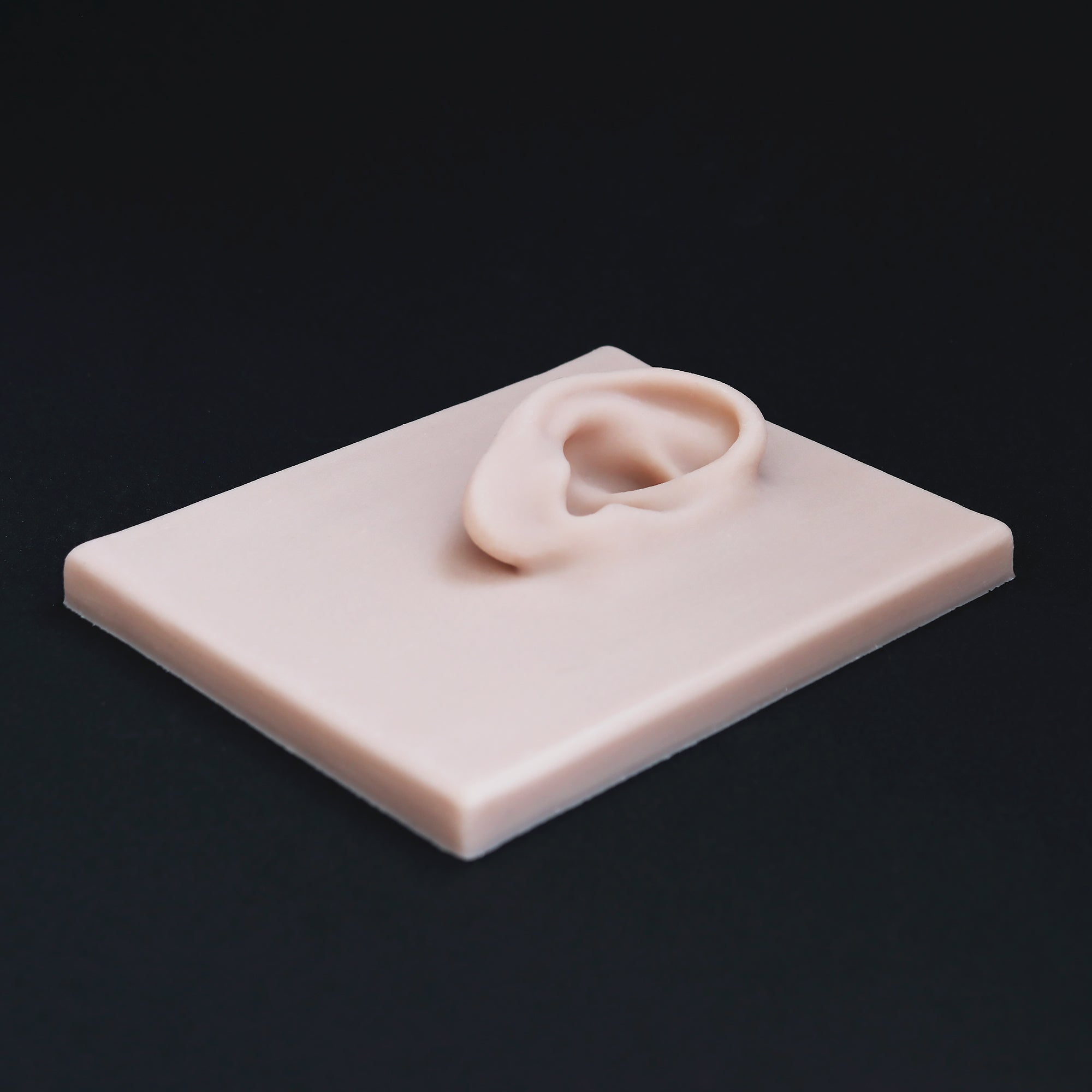 Human Ear Jewellery Display - Large Base