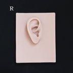 Human Ear Jewellery Display - Large Base