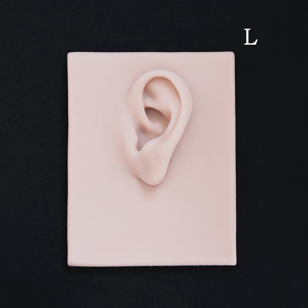 Human Ear Jewellery Display - Large Base