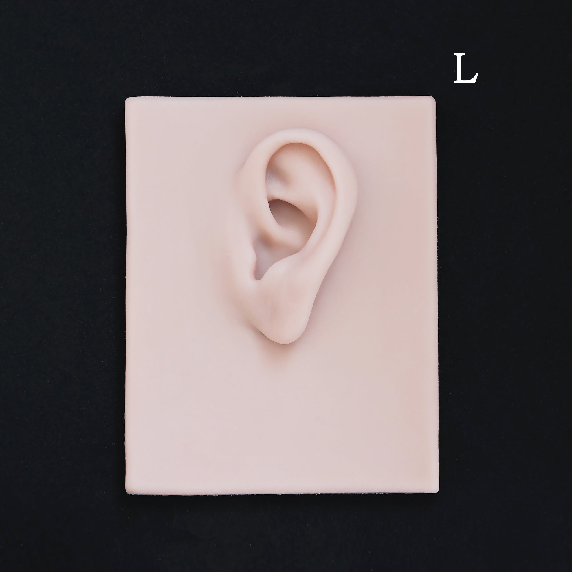 Human Ear Jewellery Display - Large Base