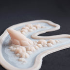 Barnacles Facial Pieces - Meduusat Studio