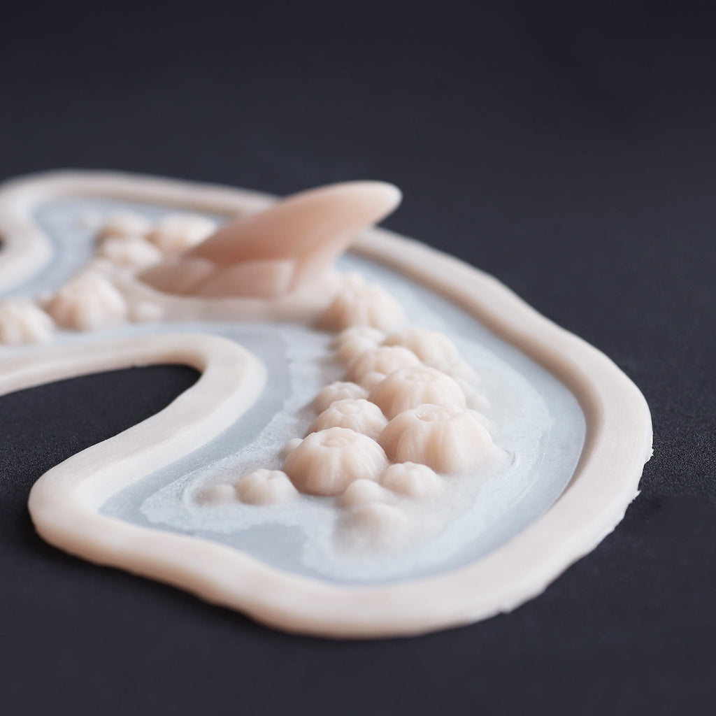 Barnacles Facial Pieces - Meduusat Studio