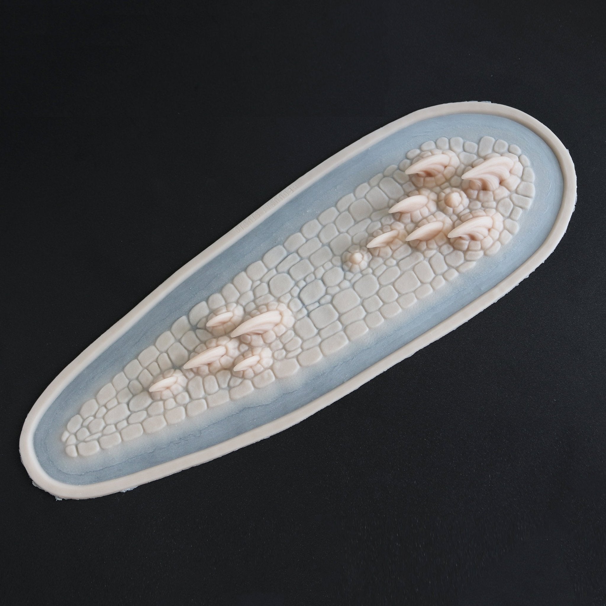 Dragon Spine - Meduusat Studio