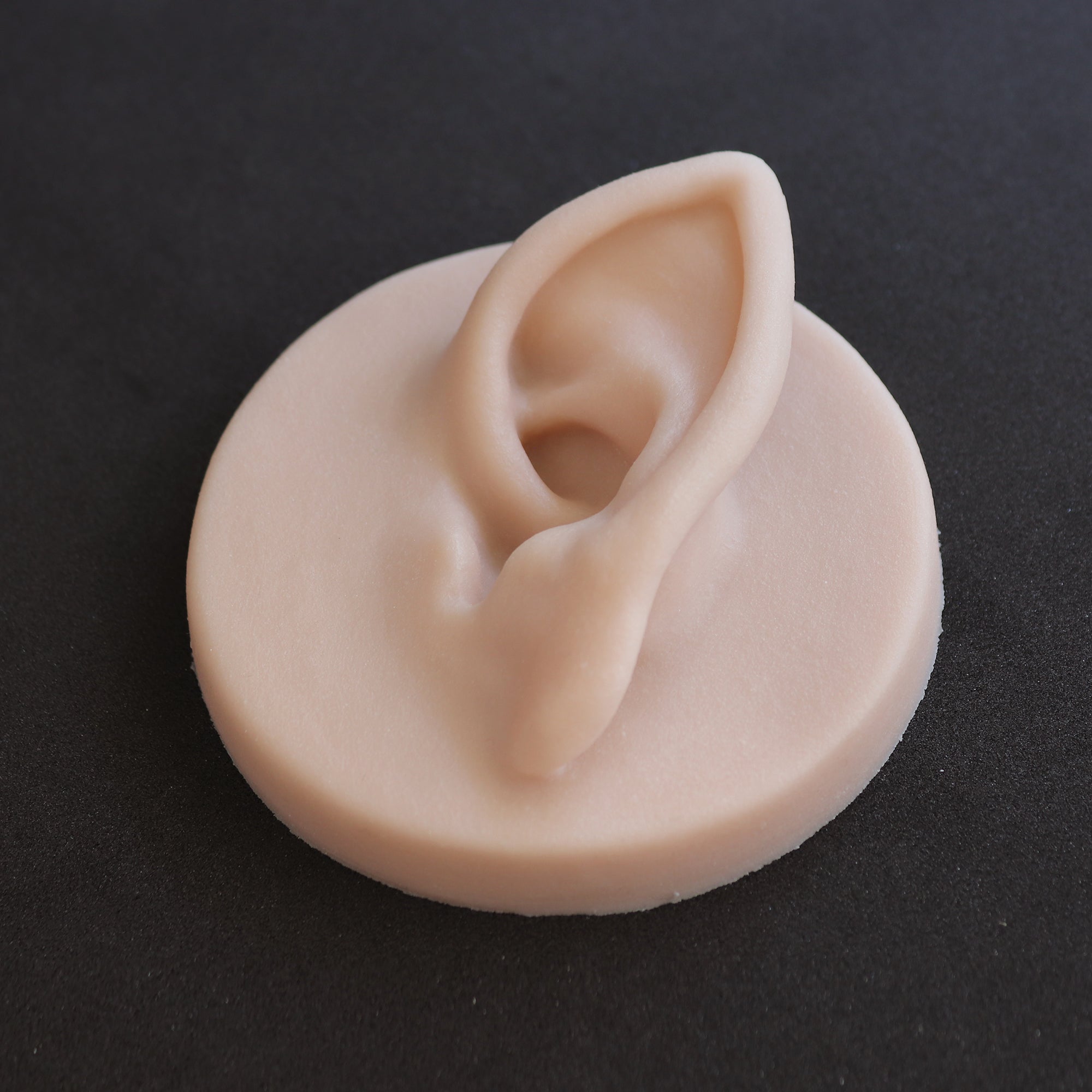 Elf Ear Jewellery Display - Meduusat Studio