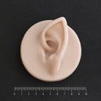 Elf Ear Jewellery Display - Meduusat Studio