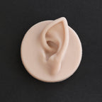 Elf Ear Jewellery Display - Meduusat Studio