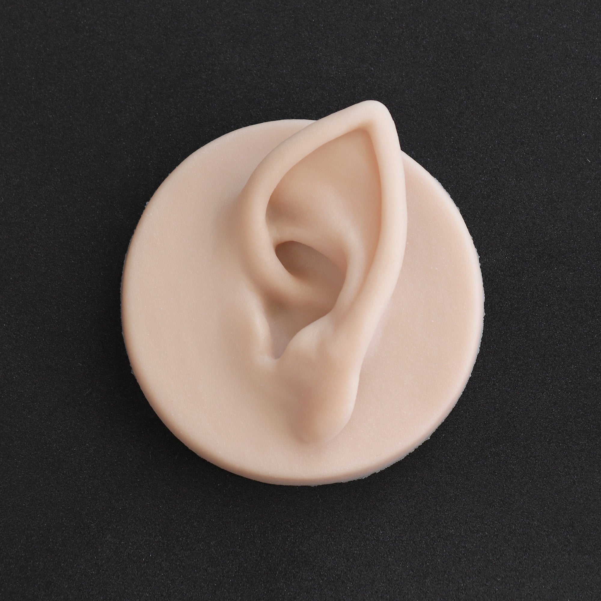 Elf Ear Jewellery Display - Meduusat Studio