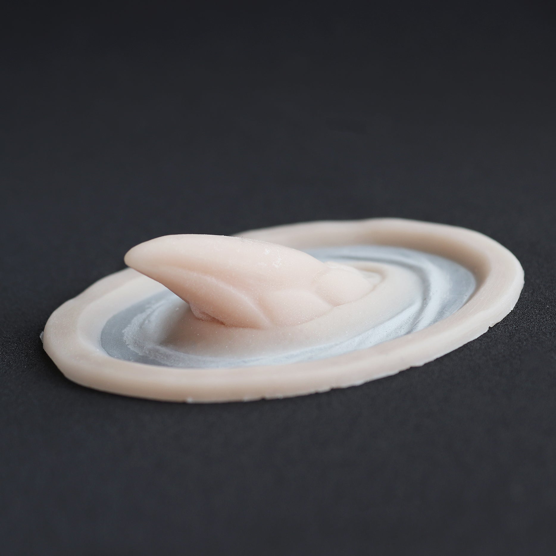 Goose Neck Barnacle Horns (Pair) - Meduusat Studio