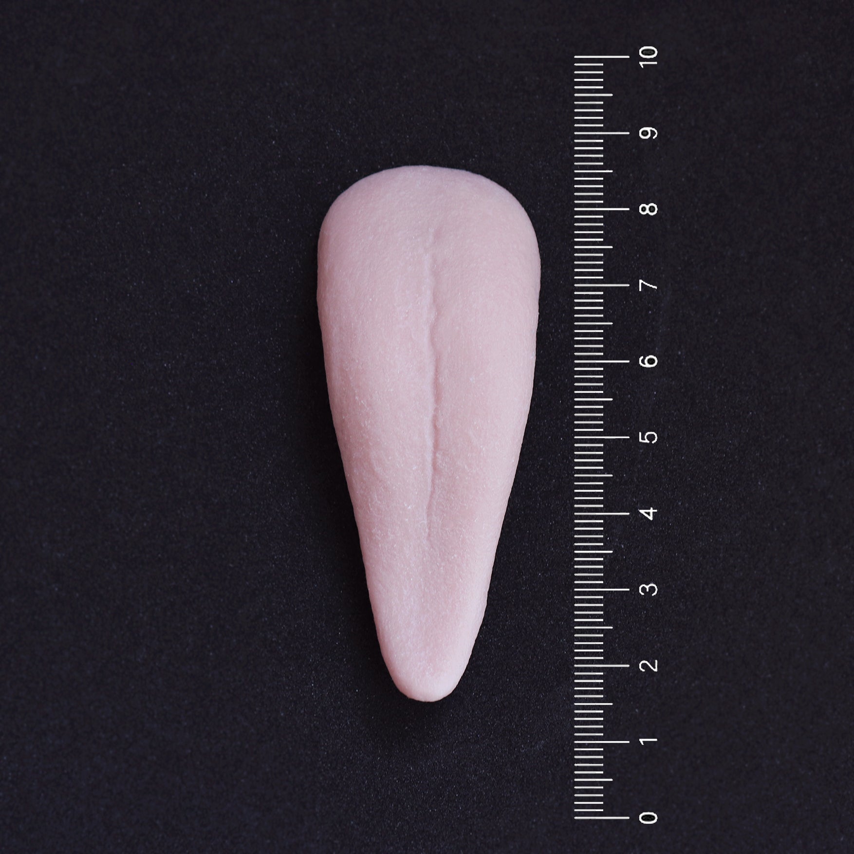 Krampus Tongue - Meduusat Studio