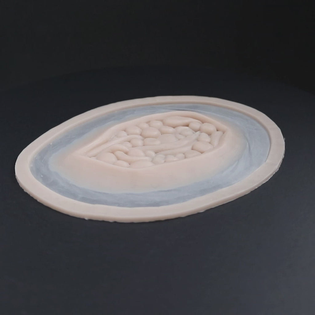 Large wound prosthetic in vanilla shade on a black turntable, slowly rotating. 