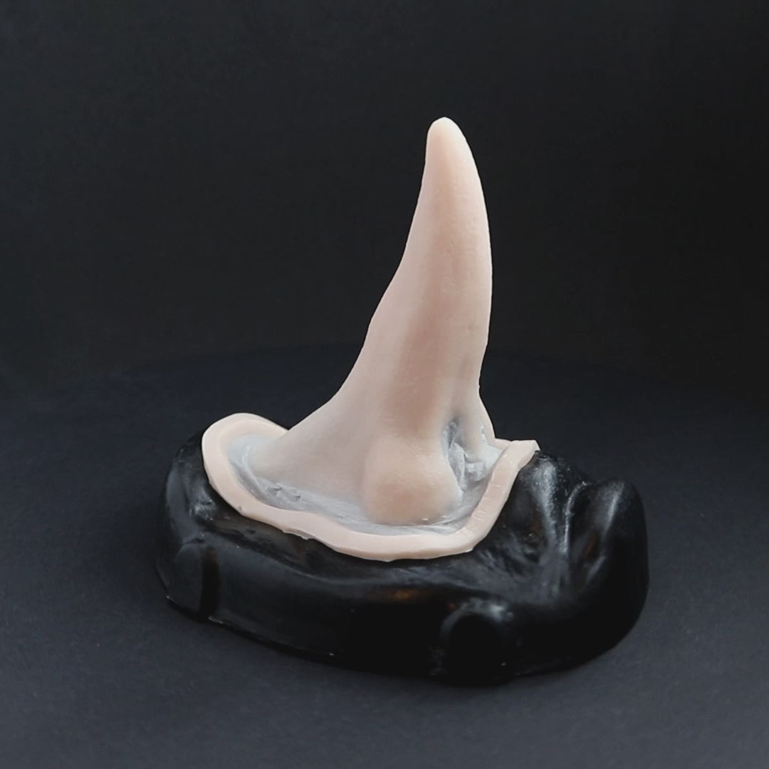 House Elf Nose prosthetic in vanilla shade on a black turntable, slowly rotating. 