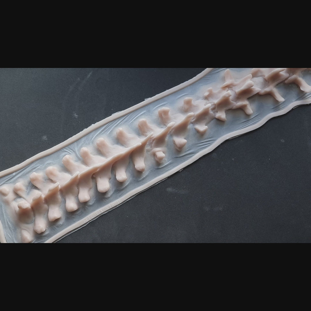 Protruding Spine (Lifesize)