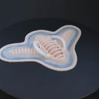 Cyborg neck prosthetic in vanilla shade on a black turntable, slowly rotating. 