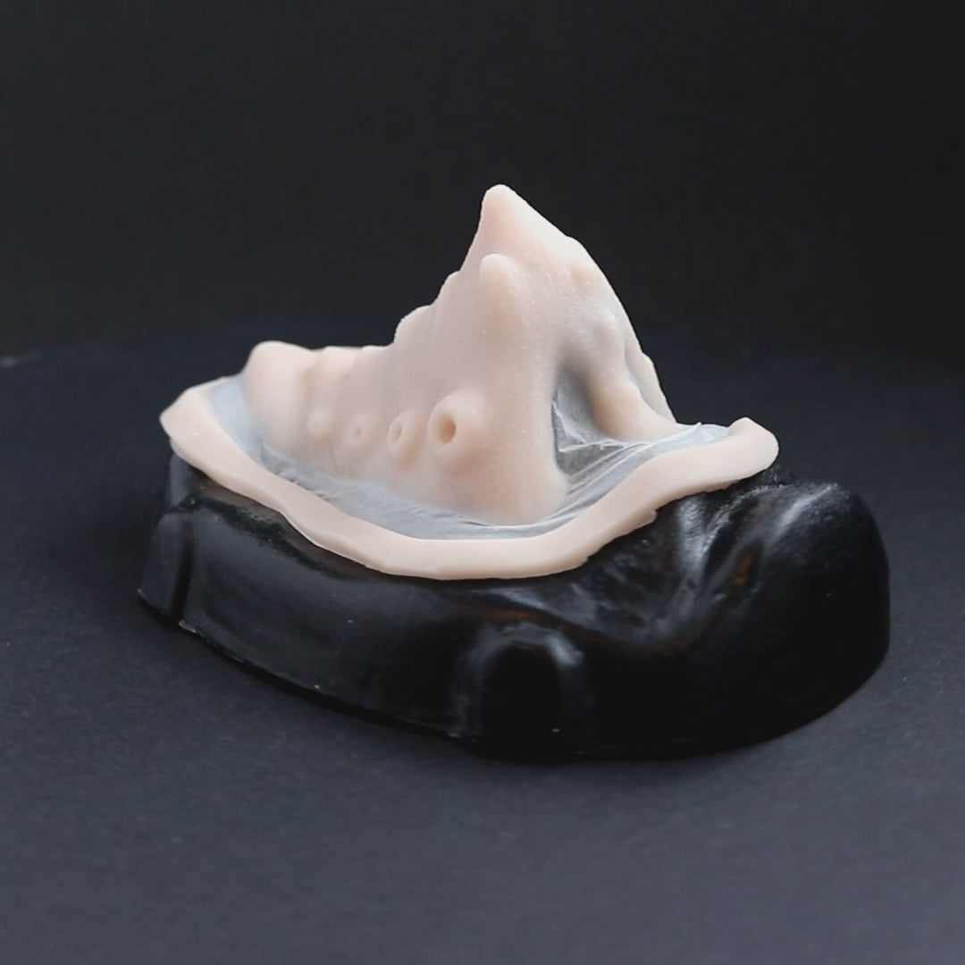 Kraken nose prosthetic in vanilla shade on a black turntable, slowly rotating. 