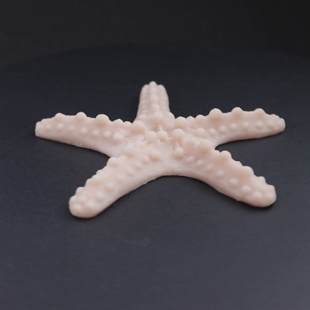 Afrikanische Seesterne 