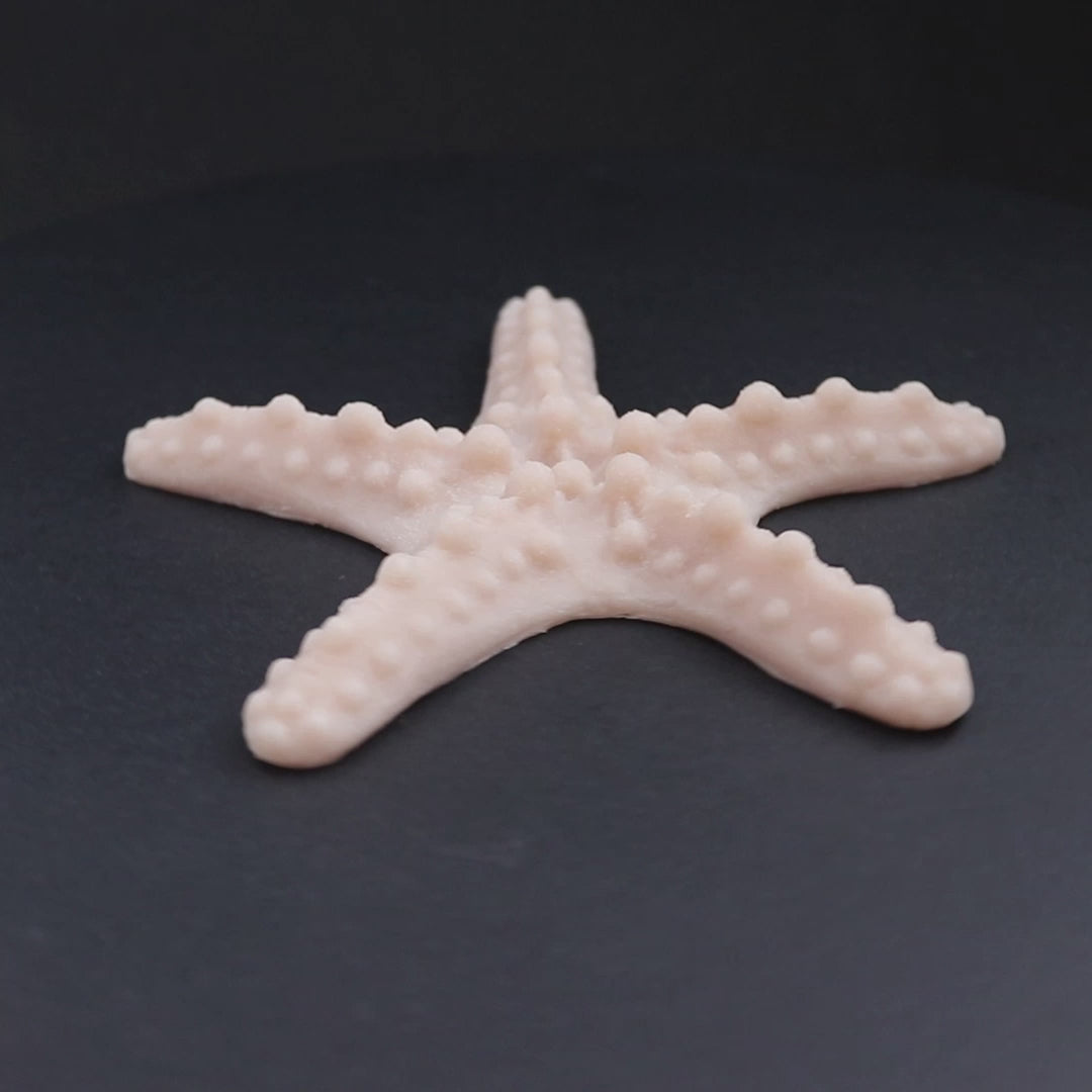 Afrikanische Seesterne 