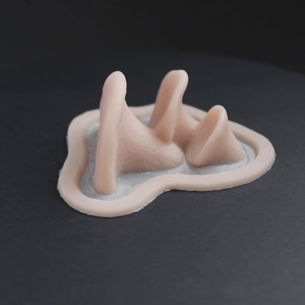 A triple Dryad's Saddle prosthetic in vanilla shade on a black turntable, slowly rotating. 