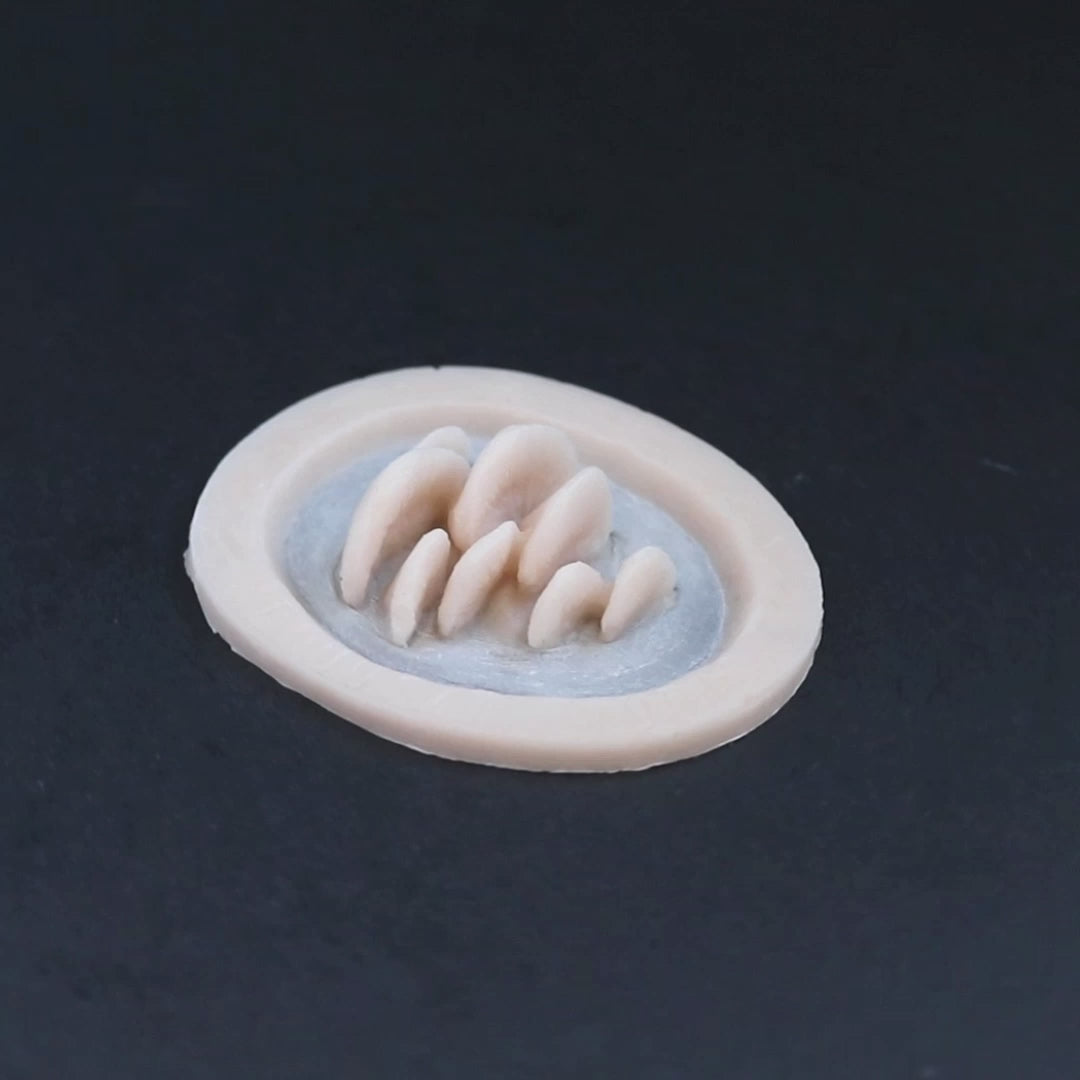 Vertical bracket fungi prosthetic in vanilla shade on a black turntable, slowly rotating. 