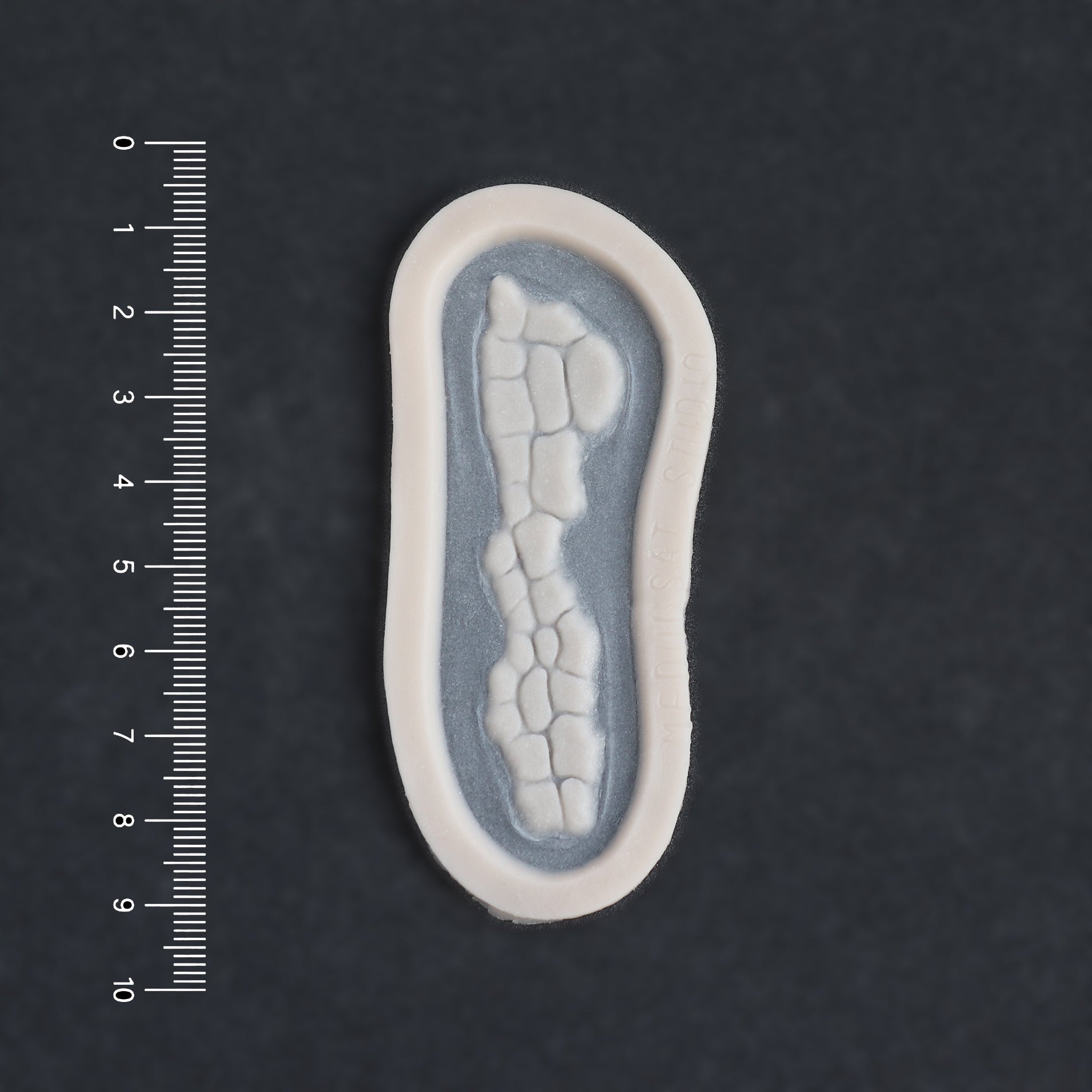 Alligator Scales nose piece in vanilla shade on a black surface with a ruler.