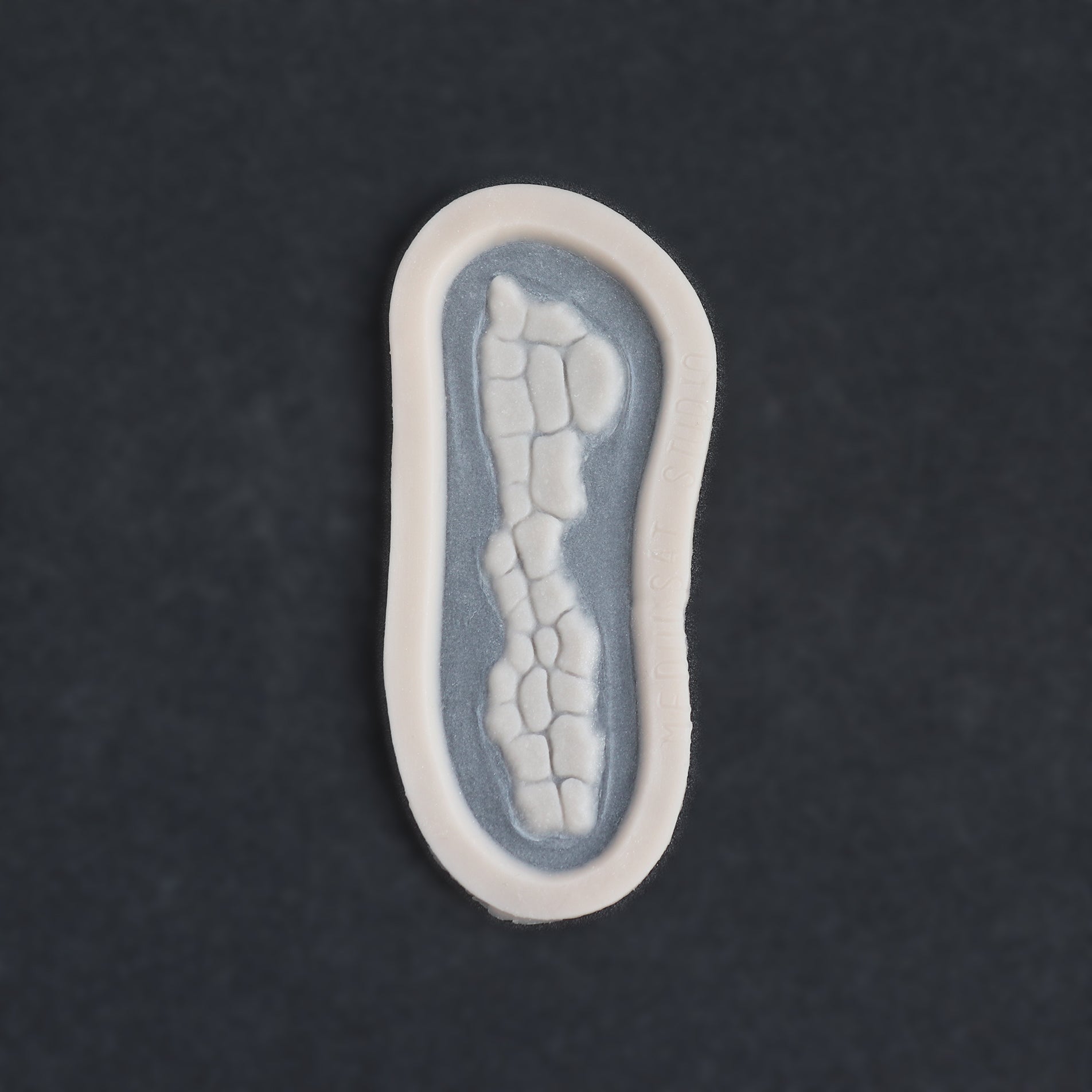 Alligator Scales nose piece in vanilla shade on a black surface.