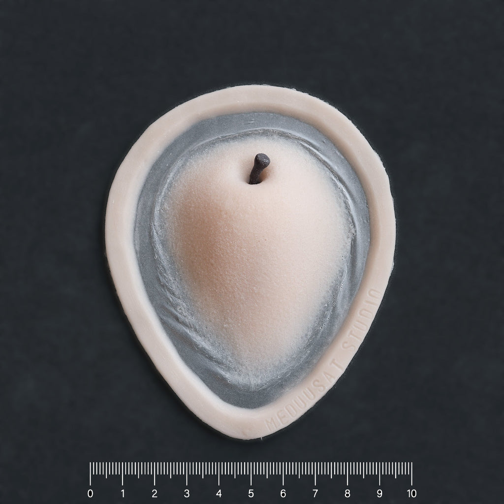 Apple Cheek prosthetic in vanilla shade on a black surface with a ruler.