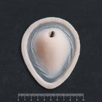 Apple Cheek prosthetic in vanilla shade on a black surface with a ruler.