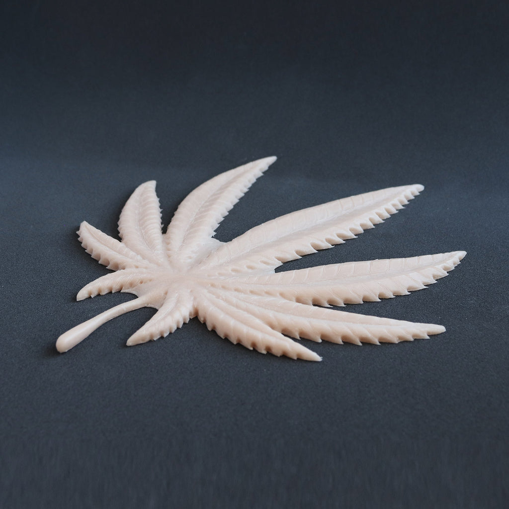 Cannabis Pasties / Nipple Patches (Pair) - Silicone makeup prosthetic in vanilla shade on a black surface at a steep angle