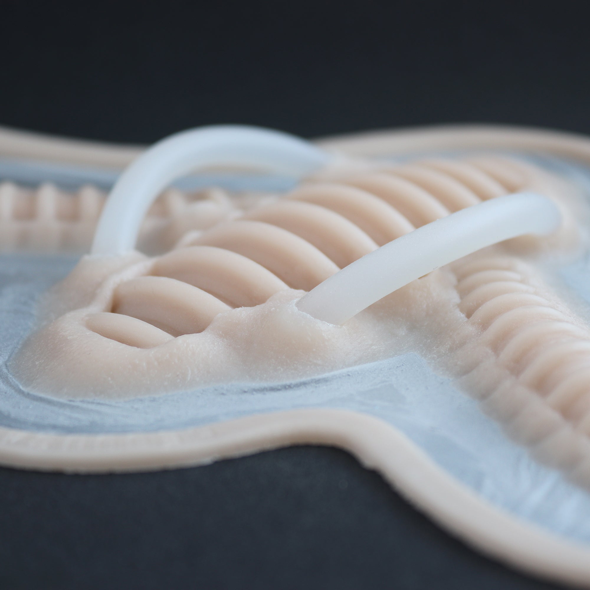 Cyborg Neck Piece - Silicone makeup prosthetic in vanilla shade on a black surface