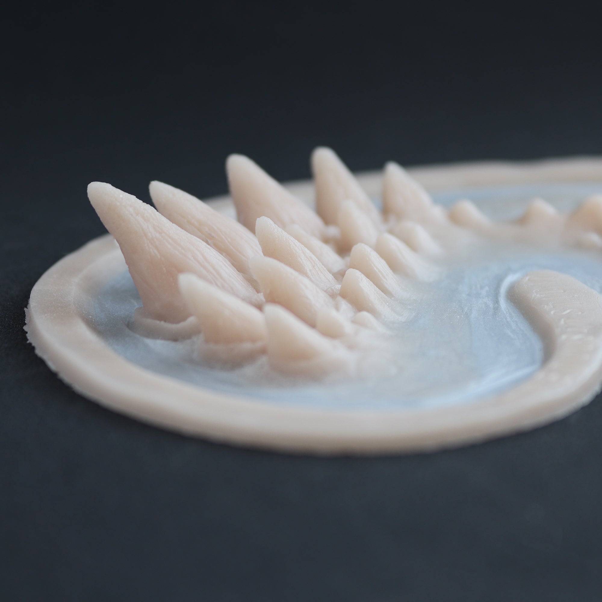 Dragon Half Face - Silicone makeup prosthetic in vanilla shade on a black surface