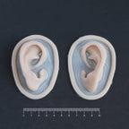 Extra Ears - Silicone makeup prosthetic in vanilla shade on a black surface with a ruler