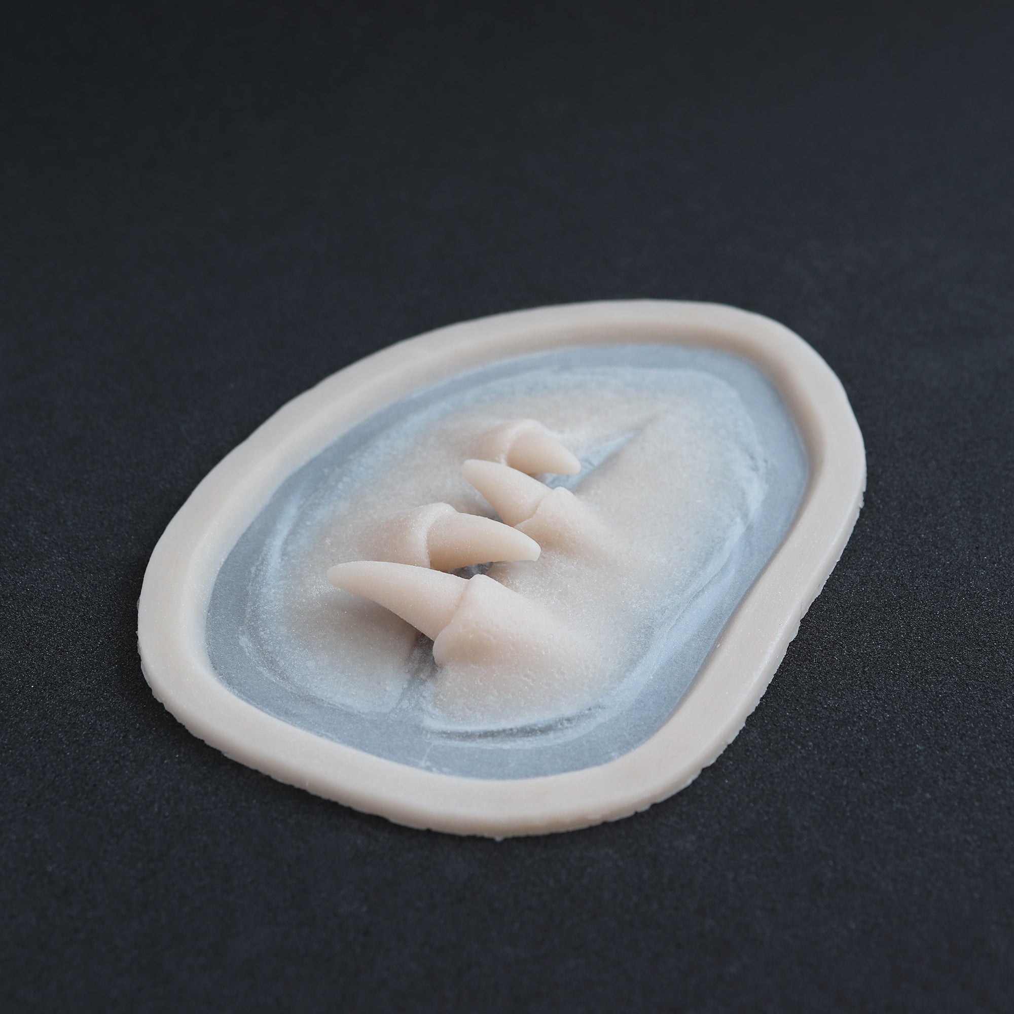 Facial Fangs 2.0 - Silicone makeup prosthetic in vanilla shade on a black surface