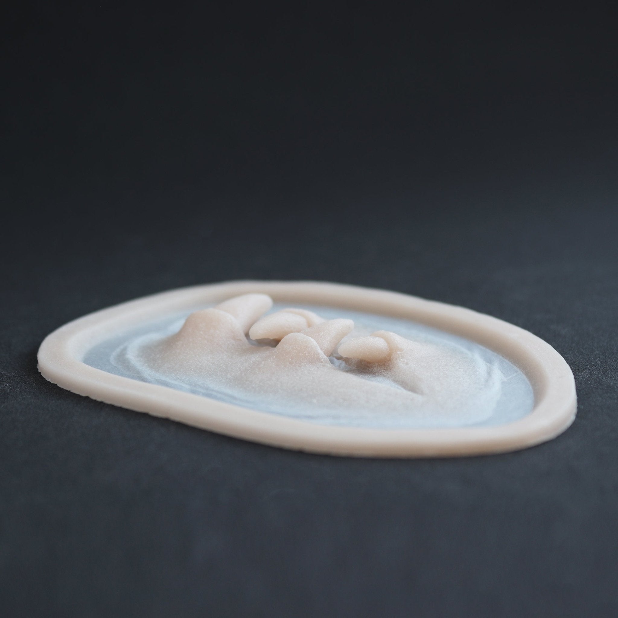 Facial Fangs 2.0 - Silicone makeup prosthetic in vanilla shade on a black surface