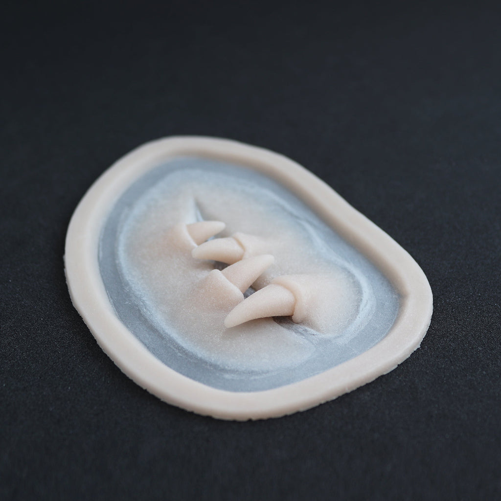 Facial Fangs 2.0 - Silicone makeup prosthetic in vanilla shade on a black surface