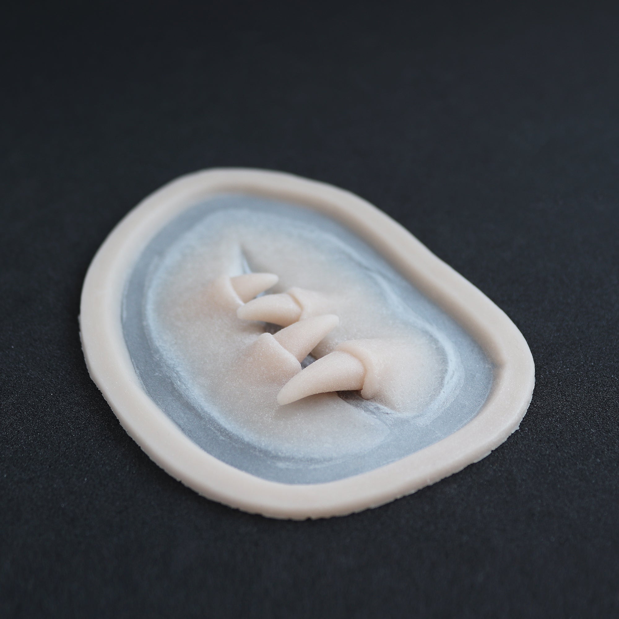 Facial Fangs 2.0 - Silicone makeup prosthetic in vanilla shade on a black surface