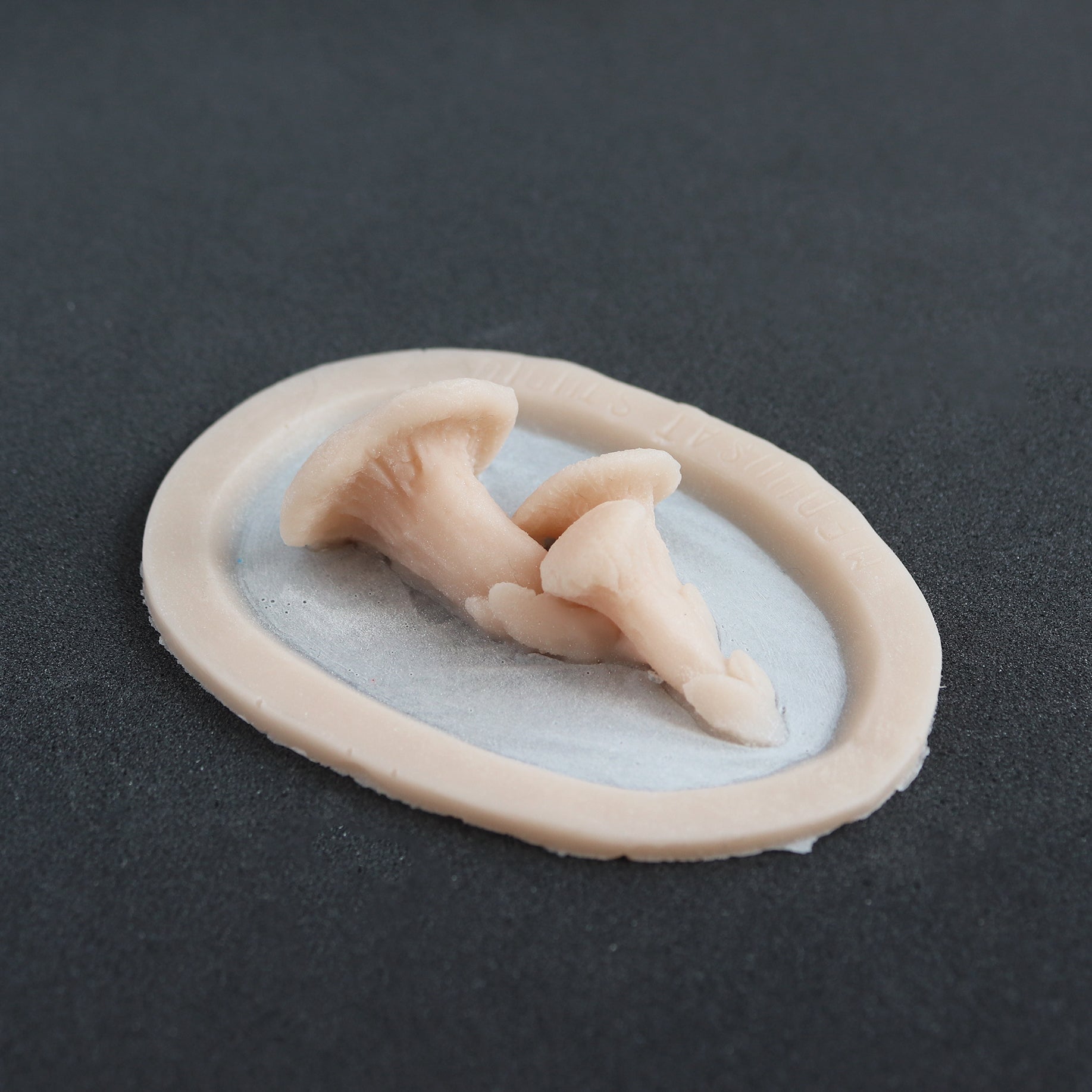 Fungi - Silicone makeup prosthetic in vanilla shade on a black surface