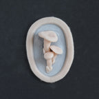 Fungi - Silicone makeup prosthetic in vanilla shade on a black surface