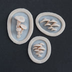 Fungi Set - Silicone makeup prosthetic in vanilla shade on a black surface