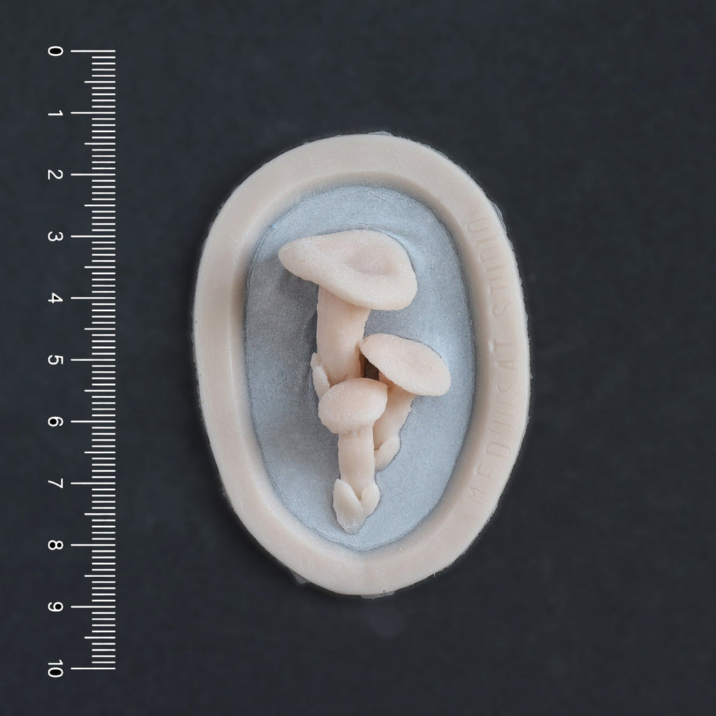 Fungi Set - Silicone makeup prosthetic in vanilla shade on a black surface with a ruler