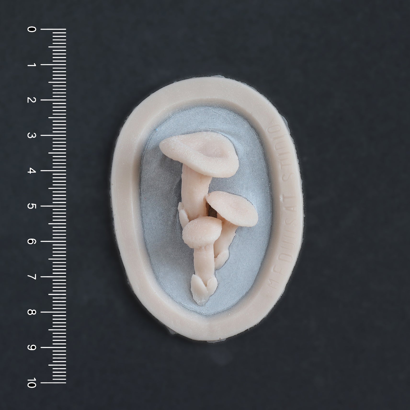 Fungi Set - Silicone makeup prosthetic in vanilla shade on a black surface with a ruler