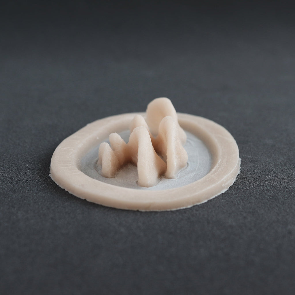 Horizontal Bracket Fungi - Silicone makeup prosthetic in vanilla shade on a black surface
