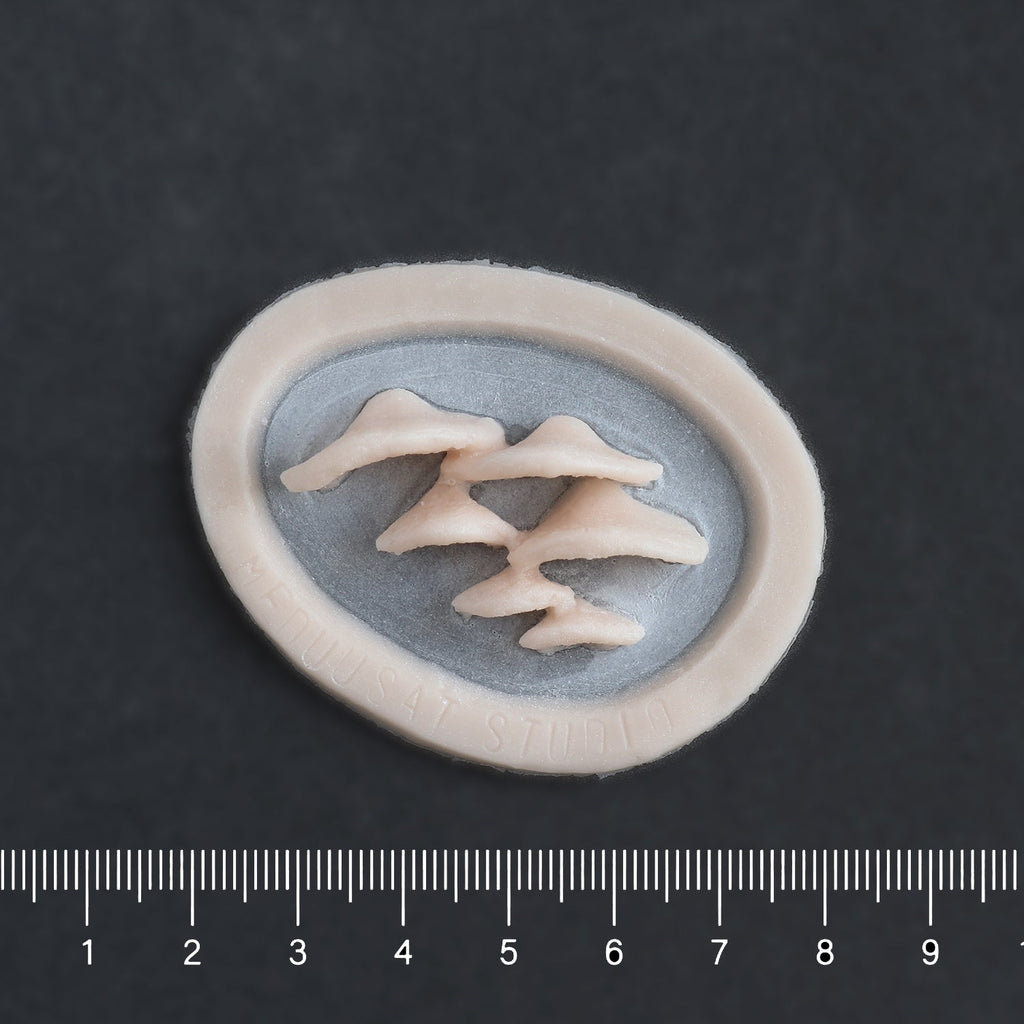 Horizontal Bracket Fungi - Silicone makeup prosthetic in vanilla shade on a black surface with a ruler