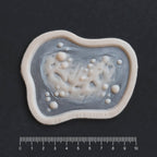 Infected Bite - Silicone makeup prosthetic in vanilla shade on a black surface with a ruler