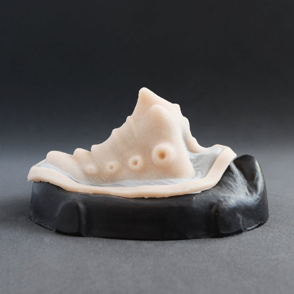 Kraken Nose - Silicone makeup prosthetic in vanilla shade on a black surface